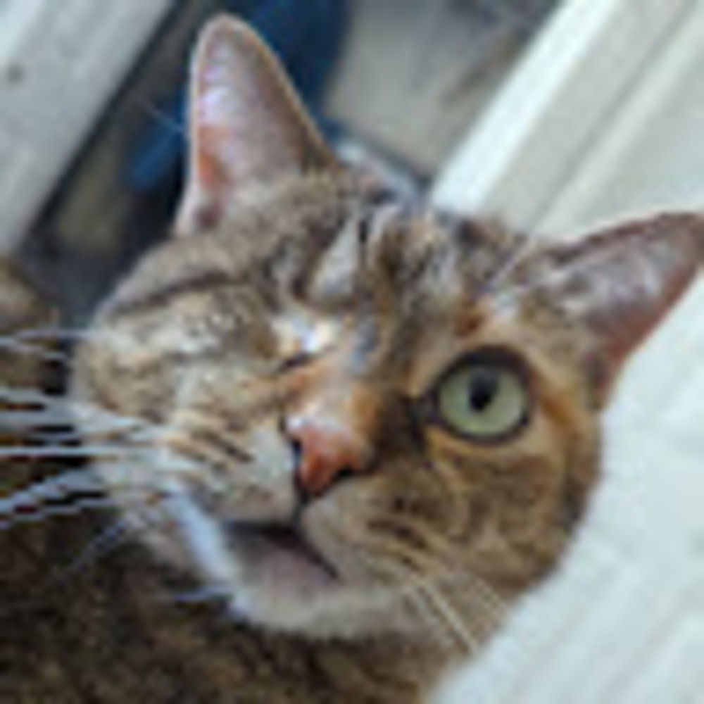 Meet your Posher, Matt